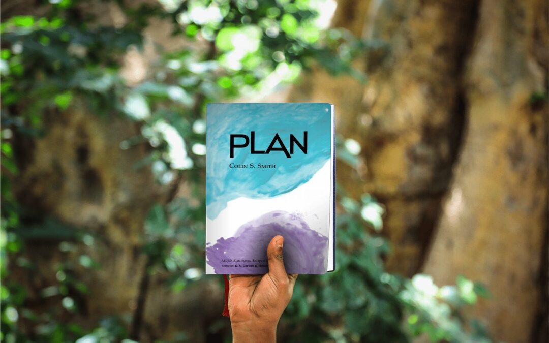 Plan (Colin S. Smith)